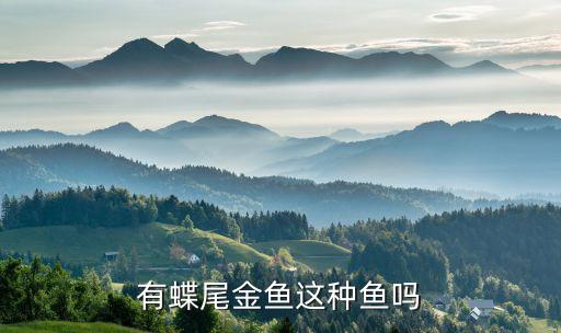 有蝶尾金鱼这种鱼吗