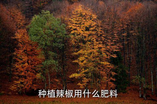 辣椒施什么肥料最好，种植辣椒用什么肥料