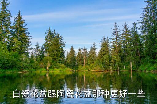 白瓷花盆跟陶瓷花盆那种更好一些