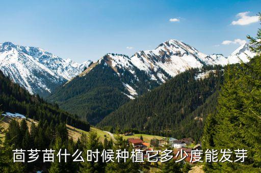 茴芗苗什么时候种植它多少度能发芽