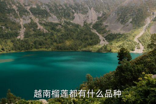 小榴莲是什么品种，越南榴莲都有什么品种