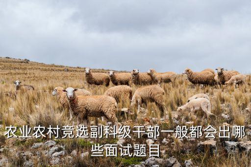 分管农业副镇长怎么面试，如何当好一名主管农业卫生教育副乡长