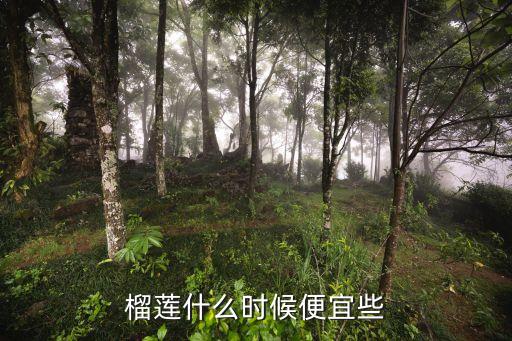 榴莲几月份最便宜，榴莲什么时候便宜