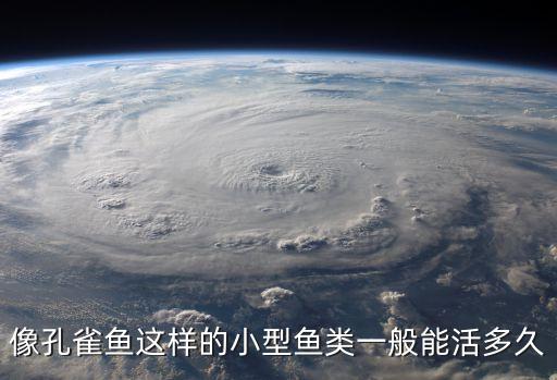 孔雀鱼能活多久，孔雀鱼能活多久