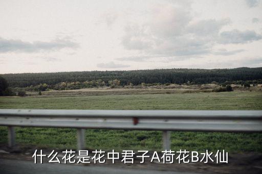 什么花是花中君子A荷花B水仙