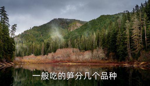 一般吃的笋分几个品种
