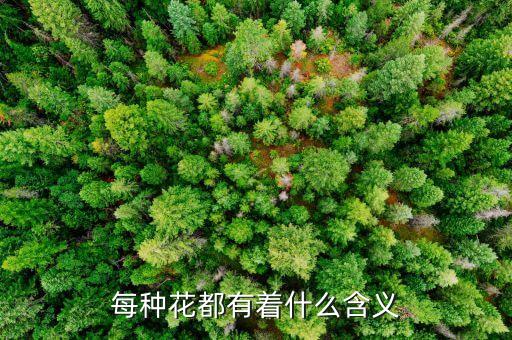 花的意义，鲜花都有什么寓意1