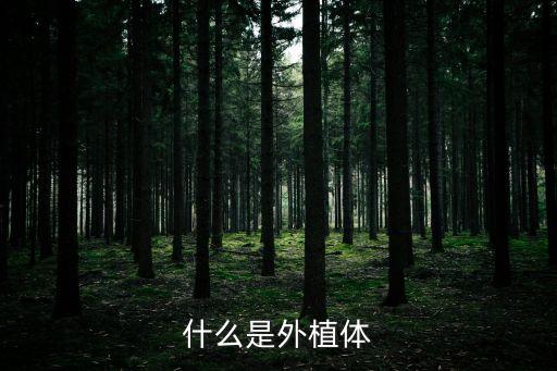 什么是外植体