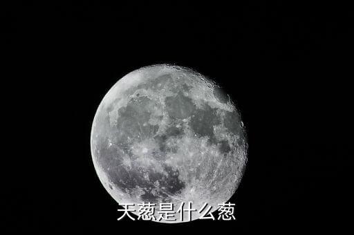 天葱是什么葱