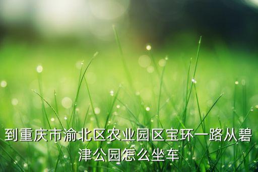 到重庆市渝北区农业园区宝环一路从碧津公园怎么坐车