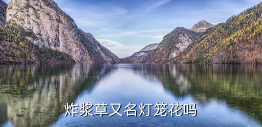 炸浆草又名灯笼花吗
