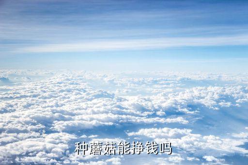 种蘑菇能挣钱吗