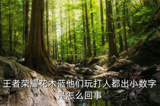 王者荣耀花木蓝他们玩打人都出小数字是怎么回事