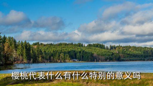 樱桃的寓意，樱桃在人们心中的传统象征意义