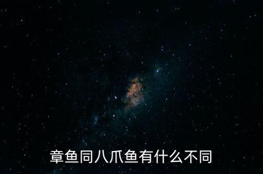 章鱼同八爪鱼有什么不同