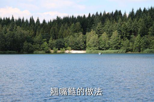 撅嘴鲢鱼，翘嘴的别名是餐条么