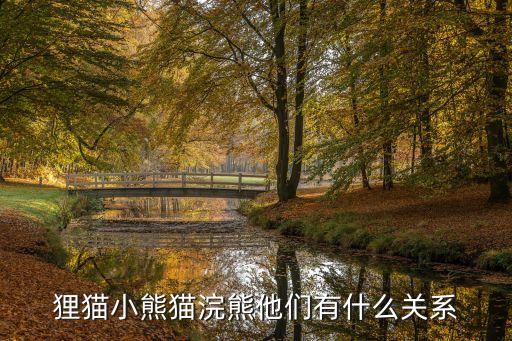 浣熊和小熊猫，狸猫小熊猫浣熊他们有什么关系