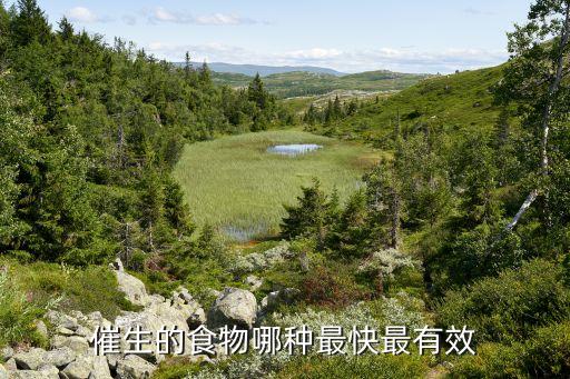 催生子，催生子在哪里有卖的