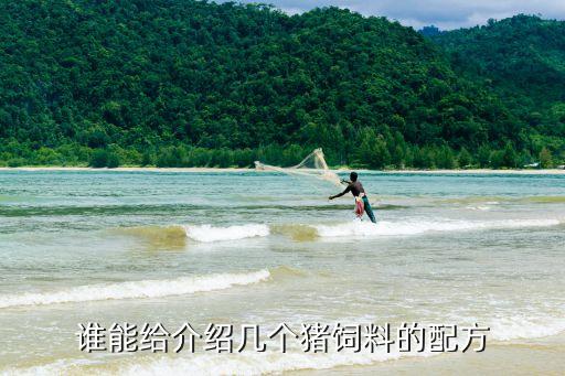 谁能给介绍几个猪饲料的配方