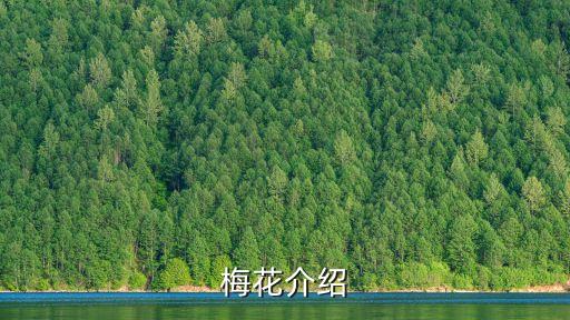 岗梅图片，求救有谁有蜱虫图片啊防患于未然