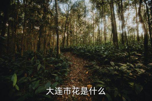 大连市花，大连市的市花是什么花