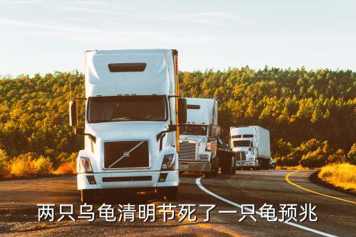 乌龟死了有什么预兆，两只乌龟清明节死了一只龟预兆