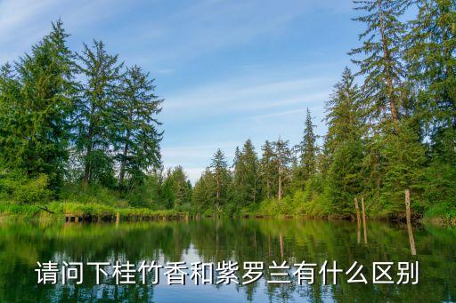 请问下桂竹香和紫罗兰有什么区别