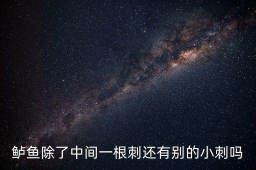 鲈鱼刺多不多，鲈鱼的细骨头多不多呀