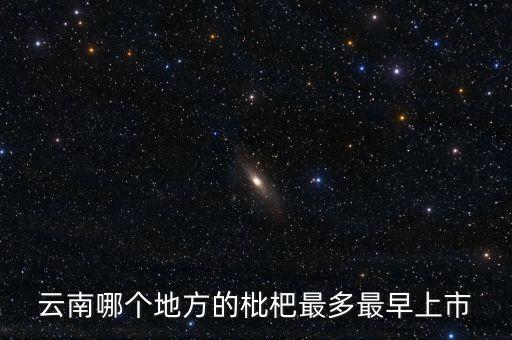 云南枇杷，云南蒙自枇杷
