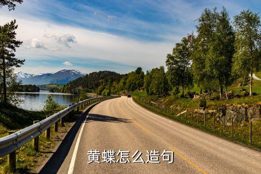 黄蝶怎么造句