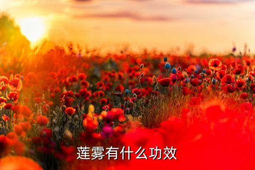 莲雾有什么功效