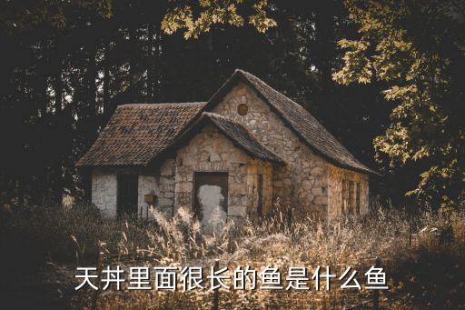 星鳗，鱼腮两边有七个洞是什么鱼