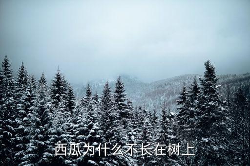 西瓜为什么不长在树上