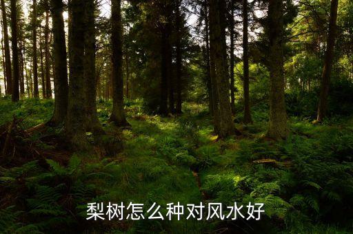 风水梨，梨树怎么种对风水好