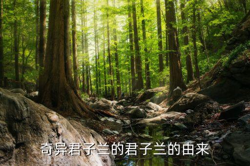 奇异君子兰的君子兰的由来