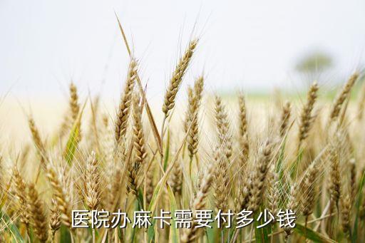 医院办麻卡需要付多少钱