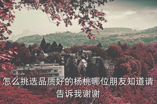 怎么挑选品质好的杨桃哪位朋友知道请告诉我谢谢