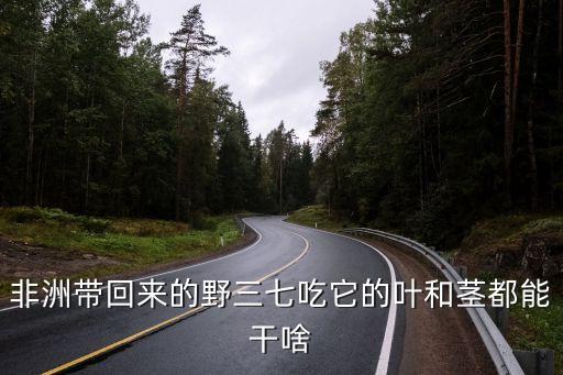 野三七，非洲带回来的野三七吃它的叶和茎都能干啥