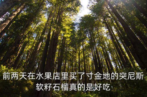 突尼斯石榴，前两天在水果店里买了寸金地的突尼斯软籽石榴真的是好吃