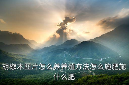 胡椒木图片怎么养养殖方法怎么施肥施什么肥