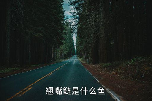 翘嘴鲢是什么鱼