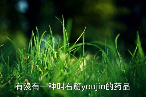 有没有一种叫右筋youjin的药品