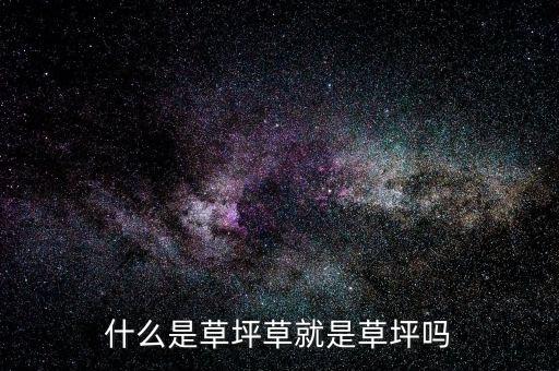草坪，昆明的草坪公司