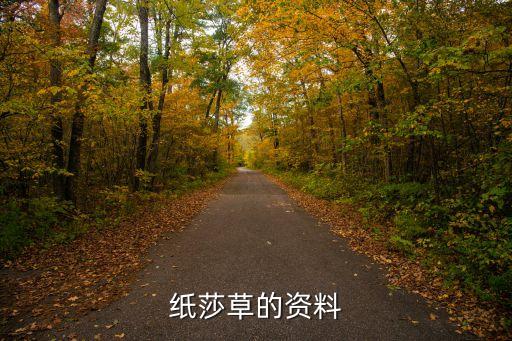 纸莎草，韦斯加纸莎草是啥