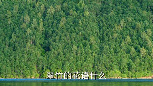 翠竹的花语什么