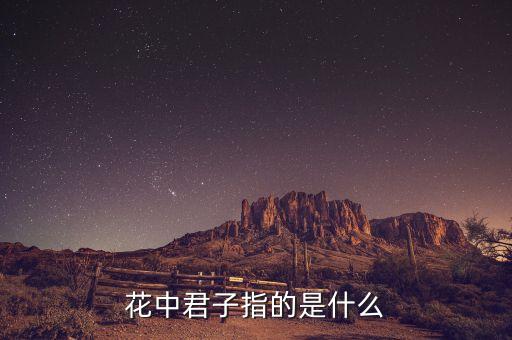 花中君子是什么，梅花是花中