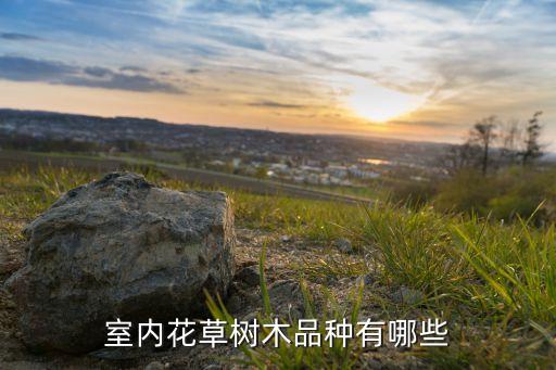 室内花草树木品种有哪些