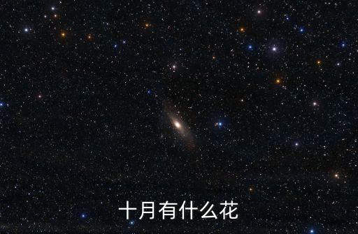 十月有什么花