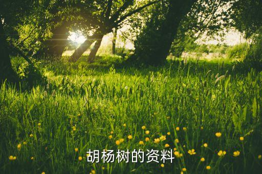 胡杨树的资料