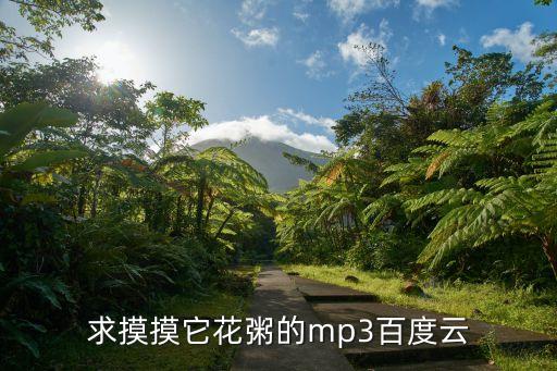 求摸摸它花粥的mp3百度云